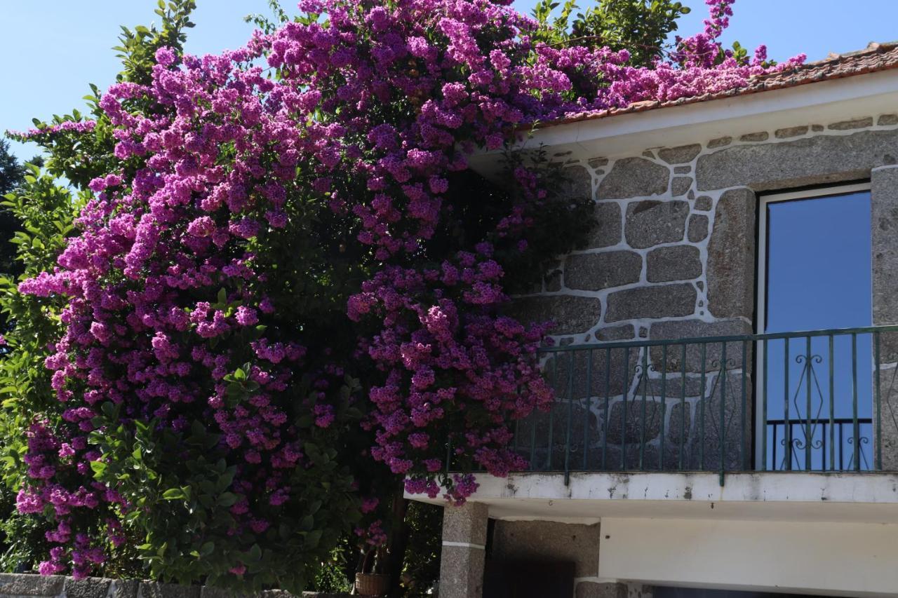 Ich Inveja Country House Pacos de Ferreira Bagian luar foto